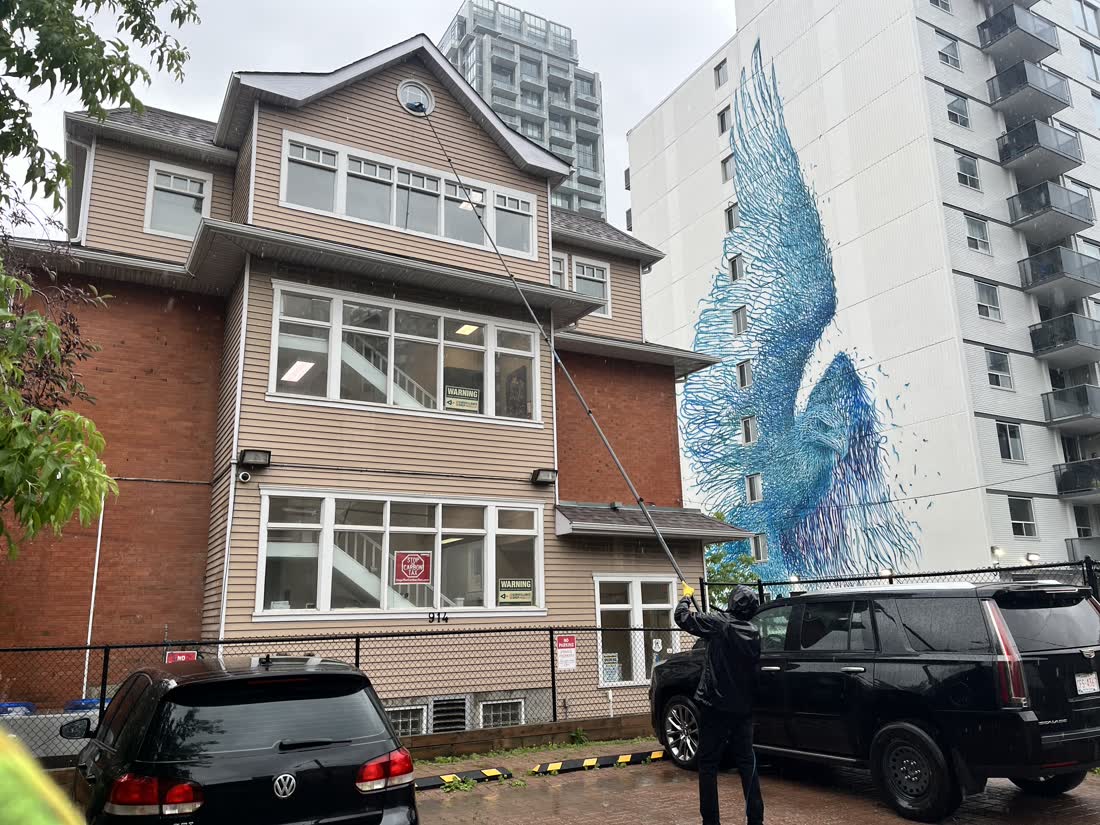 SudBuds window cleaning in Calgary